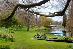 Springhead Gardens, Fontmell Magna Wallpaper