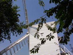 Finchingfield Post Mill through the trees Wallpaper