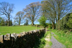 Written Stone Lane Wallpaper