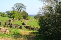 Written Stone Lane Wallpaper