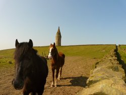 Hartshead Pike, Mossley, Lancashire Wallpaper