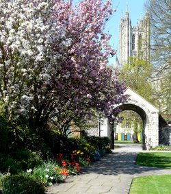 Canterbury Cathedral