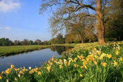 River Trent, Shugborough Estate Wallpaper