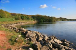 Foremark Reservoir Wallpaper