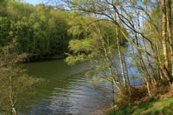 Foremark Reservoir Wallpaper