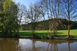 Canal near Milford 2 Wallpaper