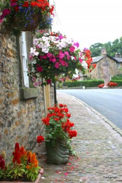 Flowers in the village of Slaidburn