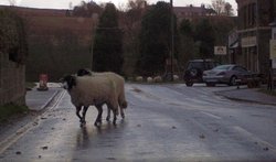Goathland pedestrian crossing Wallpaper