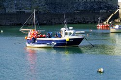 Tied up in the harbour. Wallpaper