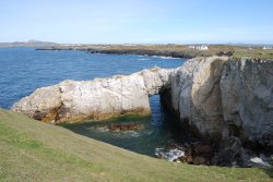 Known as White or Marble Arch Wallpaper