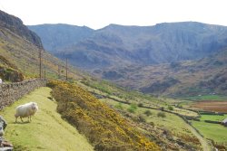 A local View. Wallpaper