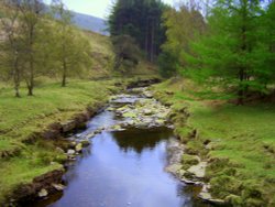 Derwent Water Wallpaper