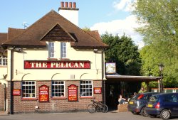 The Pelican