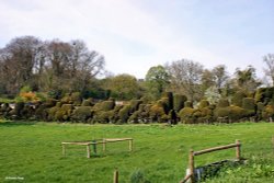 The Sydling Valley, Dorset Wallpaper