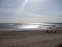 Sunlight on the beach