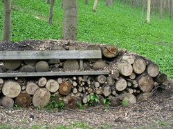 Millington Wood 2