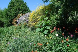 In the Botanic Gardens Wallpaper