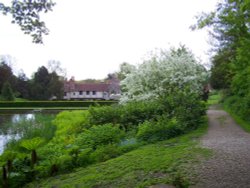 May Day 2009 Wallpaper