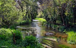 The Piddle valley, in Dorset Wallpaper