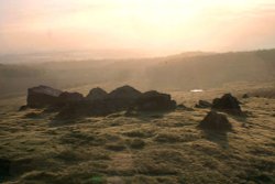 Bradgate Park at dawn Wallpaper