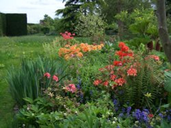 Azaleas and Gunneras around the Pond Wallpaper