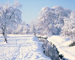 The River Pinn, Ruislip Wallpaper