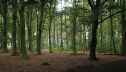 Normanby Hall 4 Wallpaper