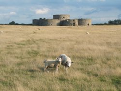 Camber Castle Wallpaper