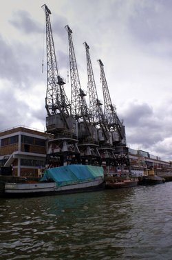 Cranes.