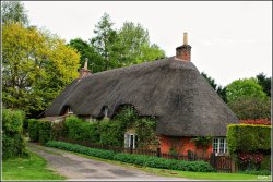 Thatched Wallpaper