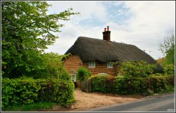 Thatched Cottage Wallpaper