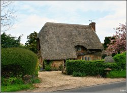 Thatched Wallpaper