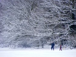 Snow, Eastcote village