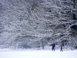 Snow, Eastcote village Wallpaper