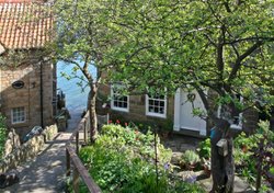 Runswick bay 23 Wallpaper