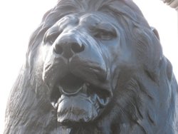 Lion of Trafalgar Wallpaper