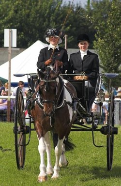 Driffield Show008
