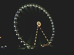 Delight at Night Wallpaper