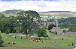 Bolton Abbey 2 Wallpaper
