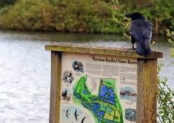 Thatcham, Berkshire Wallpaper