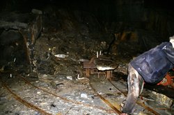 Dirty work. Wallpaper