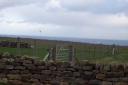 Pasture overlooking the North Sea Wallpaper