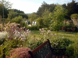 Summer's here Wallpaper