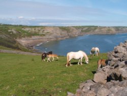 Rhossili Bay Wallpaper