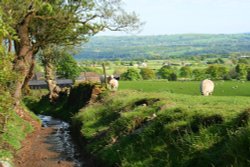 Written Stone Lane Wallpaper