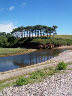 Beautiful Budleigh
