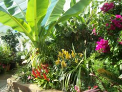 Tropical House Wallpaper