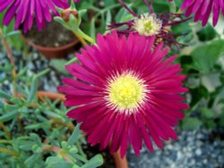 More amazing beauty Wallpaper