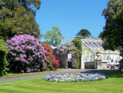 The Cactus House Wallpaper