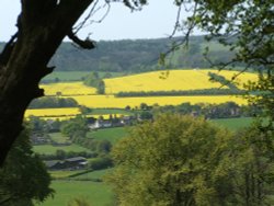 Whipsnade wild animal park